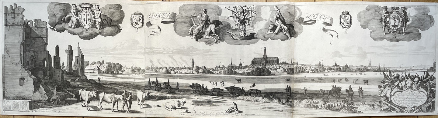 Haarlem - Jan van de Velde naar Pieter de Molijn / Reinier en Josua Ottens - circa 1730